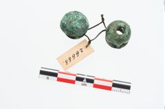 Foto von Bronzeringfußknopf (NHMW-PRAE-026688)